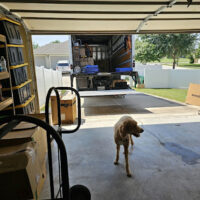 Austin Melrose Movers and Packers Local & Long Distance Moving Company